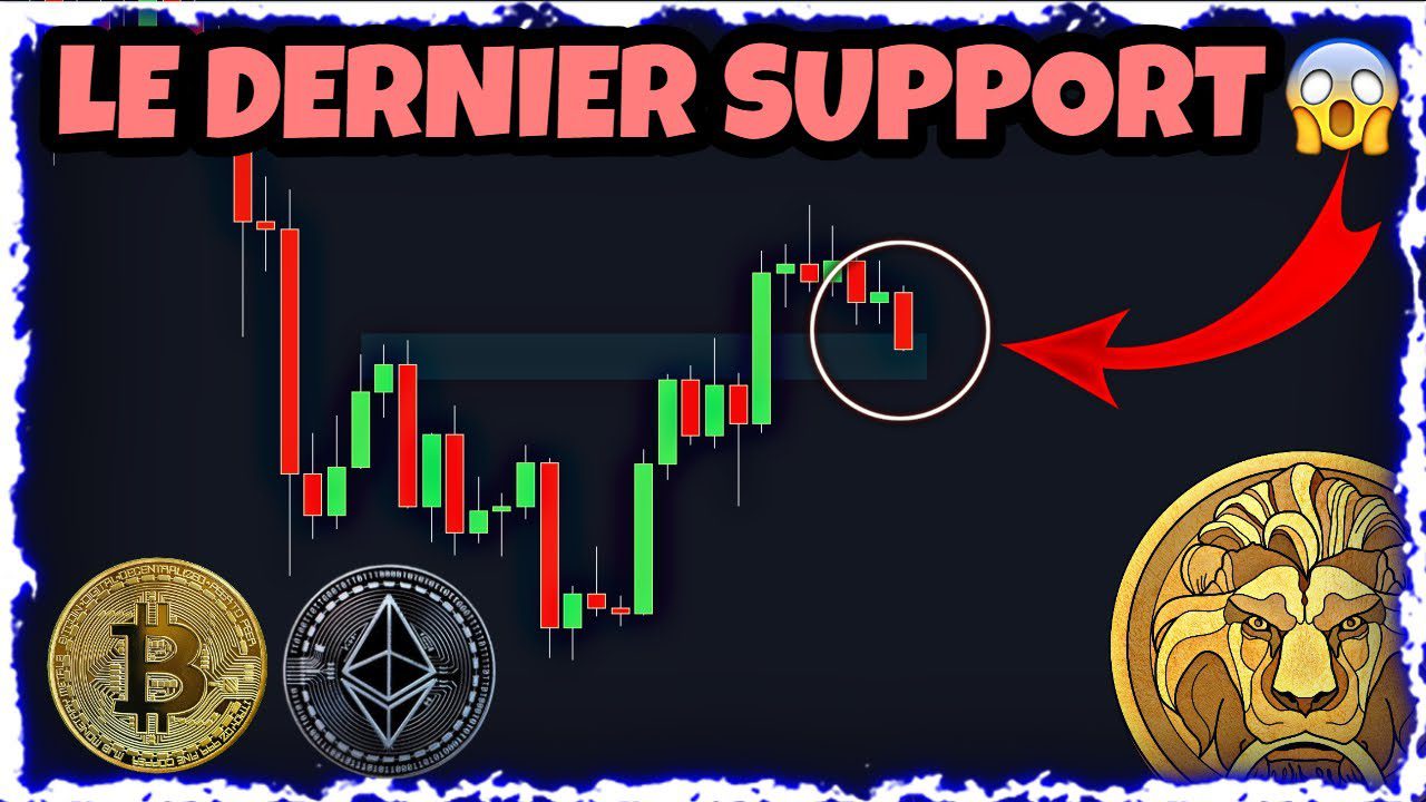 Bitcoin - Notadeprensa.eu