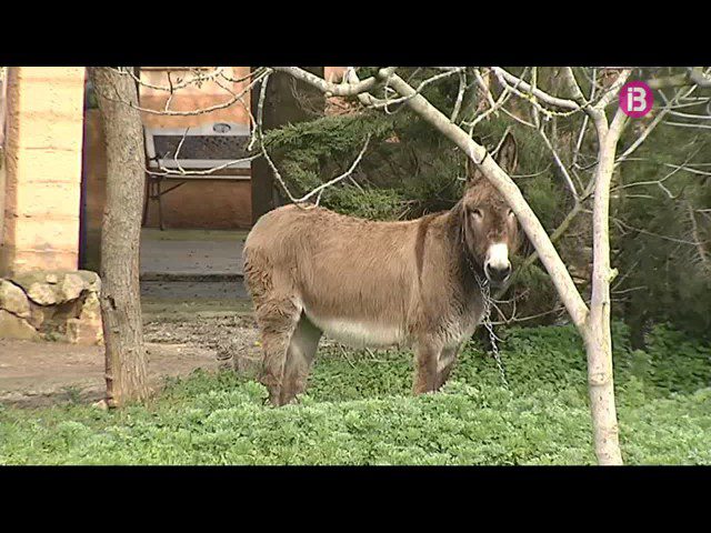 Pymes-en-Manacor - Notadeprensa.eu