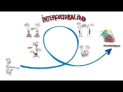 Comunicacion-intercultural-Navegando-en-la-diversidad-de-perspectivas - Notadeprensa.eu