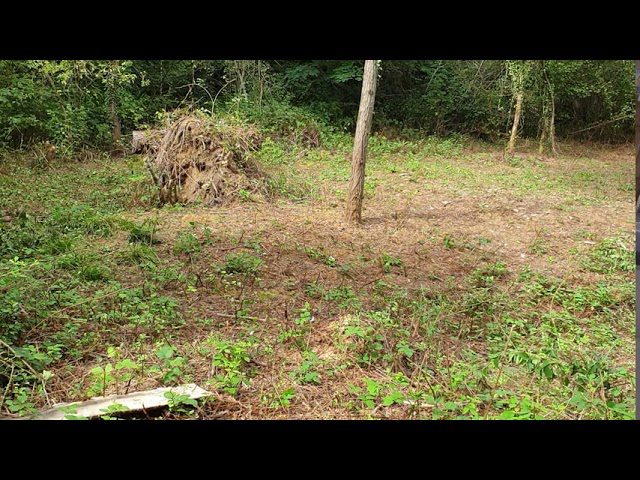 ACACIA-REINVERPLUS-EUROPA-FI - Notadeprensa.eu