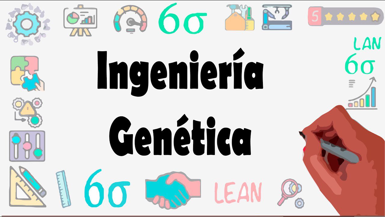 qué hace exactamente un 	Investigador/a en bioética para aplicaciones de ingeniería genética