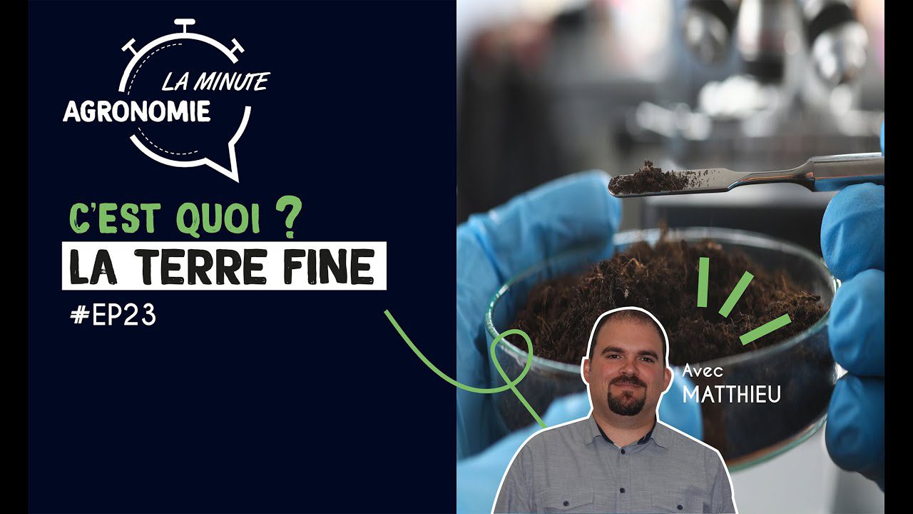 AUREA-SUSTAINABLE-AGRICULTURE-FUND-FCRE - Notadeprensa.eu AUREA SUSTAINABLE AGRICULTURE FUND FCRE