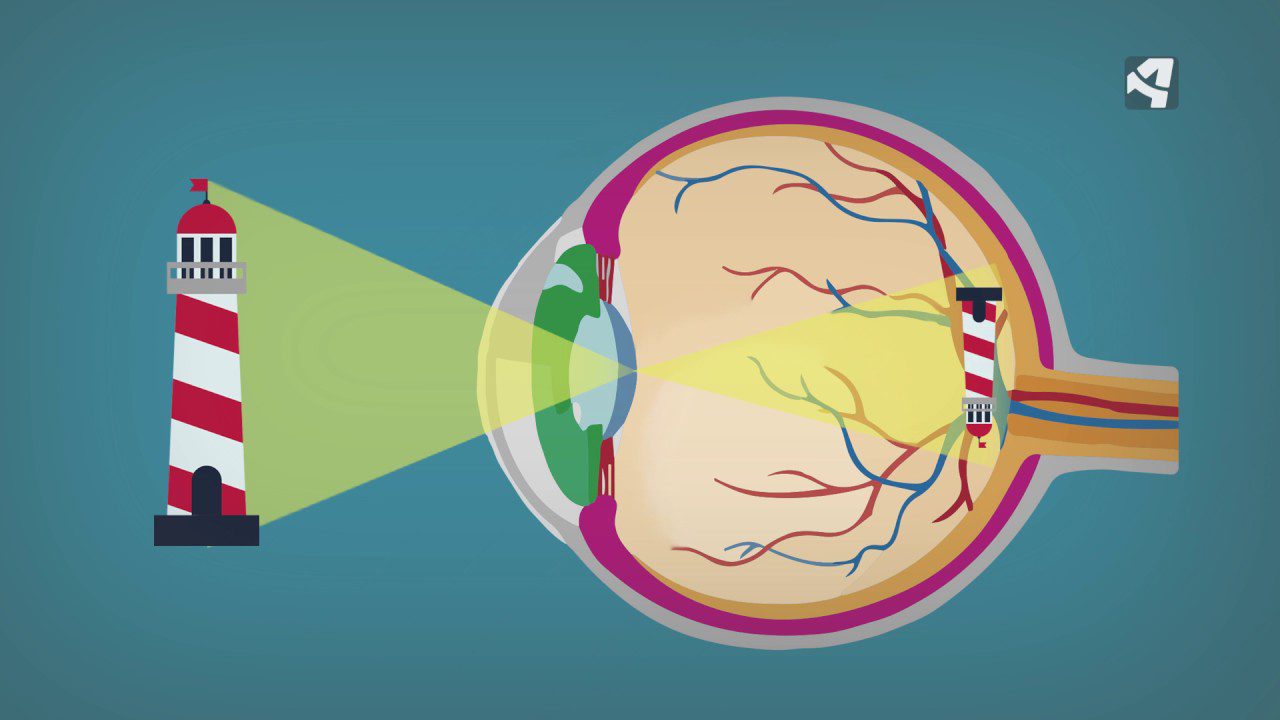 Sorprendiendo-al-Ojo-Elementos-Visuales-que-Captan-la-Atencion - Notadeprensa.eu Sorprendiendo al Ojo: Elementos Visuales que Captan la Atención