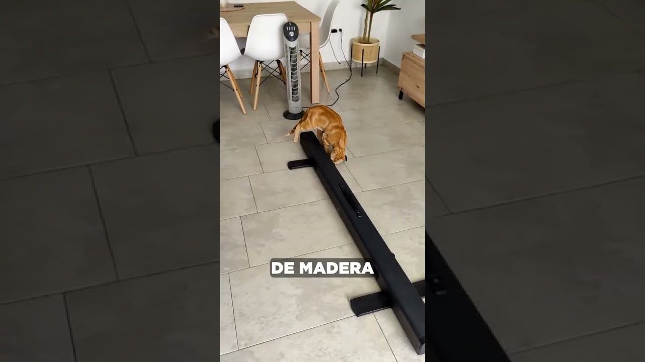 Realidad-Virtual-en-Entrevistas-Exclusivas-Una-Experiencia-Inmersiva-1 - Notadeprensa.eu Realidad Virtual en Entrevistas Exclusivas: Una Experiencia Inmersiva