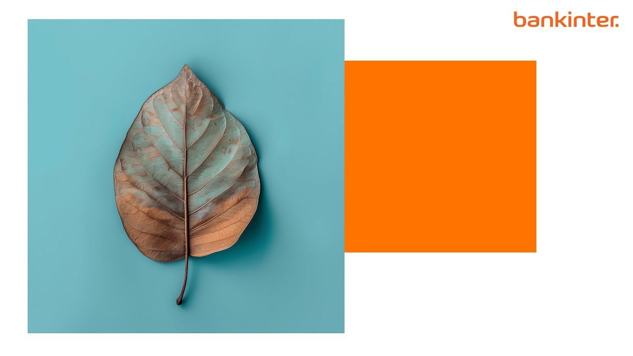 BANKINTER-INDICE-GLOBAL-FI - Notadeprensa.eu BANKINTER INDICE GLOBAL FI