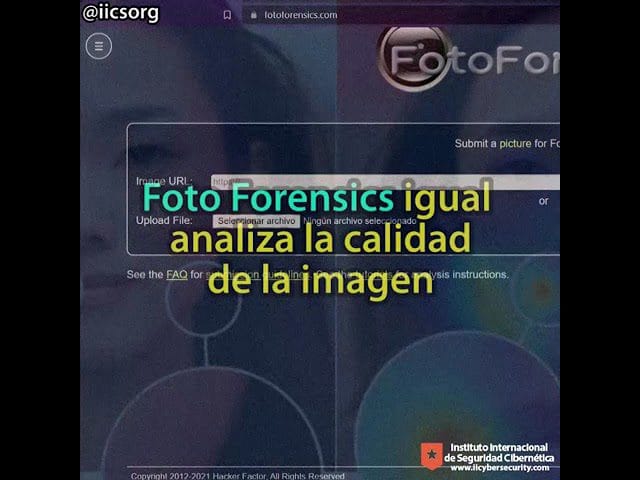 guía completa de Cómo identificar imágenes manipuladas en noticias falsas